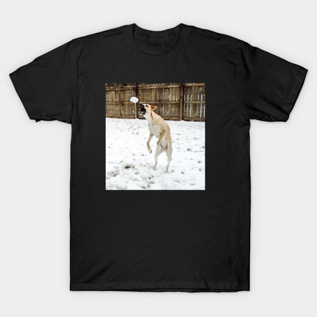 Anatolian shepherd catching a snowball T-Shirt by PandLCreations